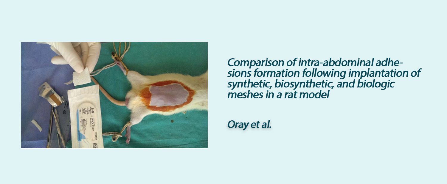Slide 6