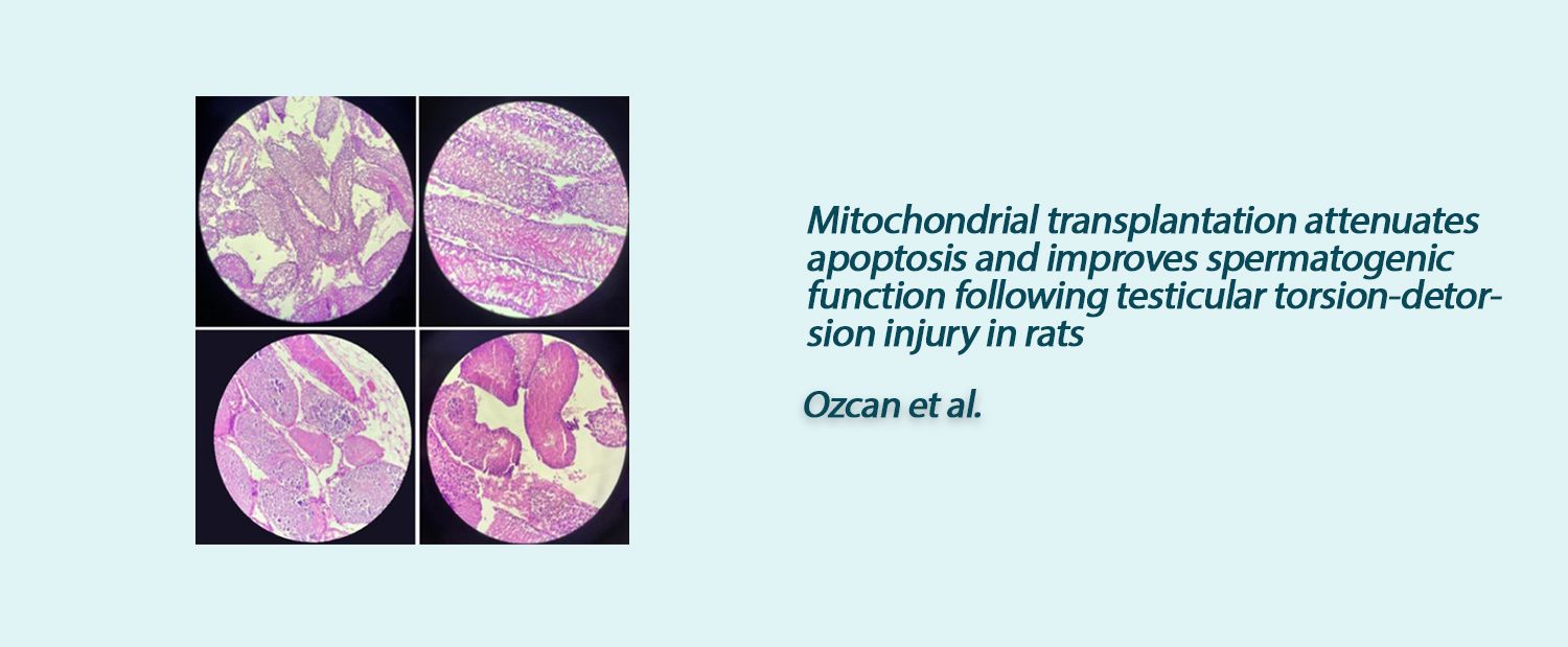 Slide 7